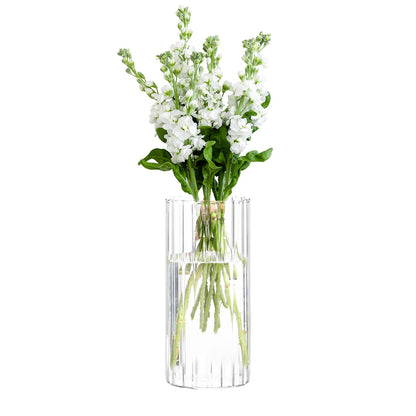 Clear Glass Vase | Minimalist Home Décor
