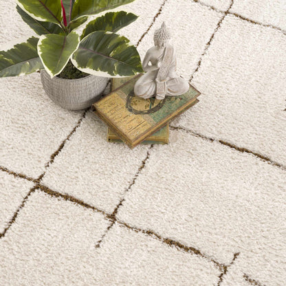 Koume Ivory & Brown Area Rug
