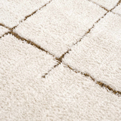 Koume Ivory & Brown Area Rug